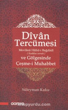 Divan Tercümesi ve Gölgesinde Çeşme-i Muhabbet - Bilinmeyen Yazar