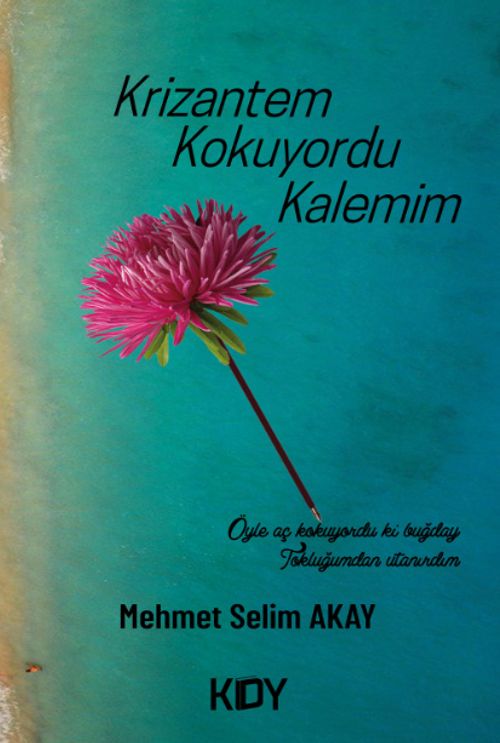 Krizantem Kokuyordu Kalemim 