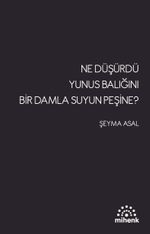 Ne Düşürdü Yunus Balığını Bir Damla Su'yun Peşine?  