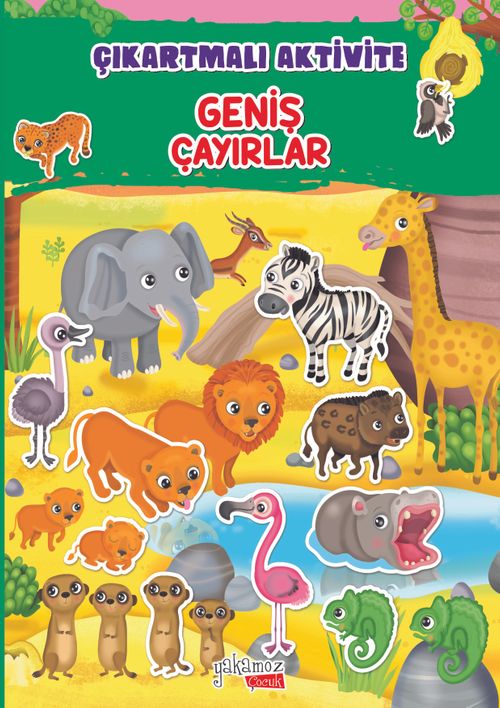 Geniş Çayırlar / Çıkartmalı Aktivite