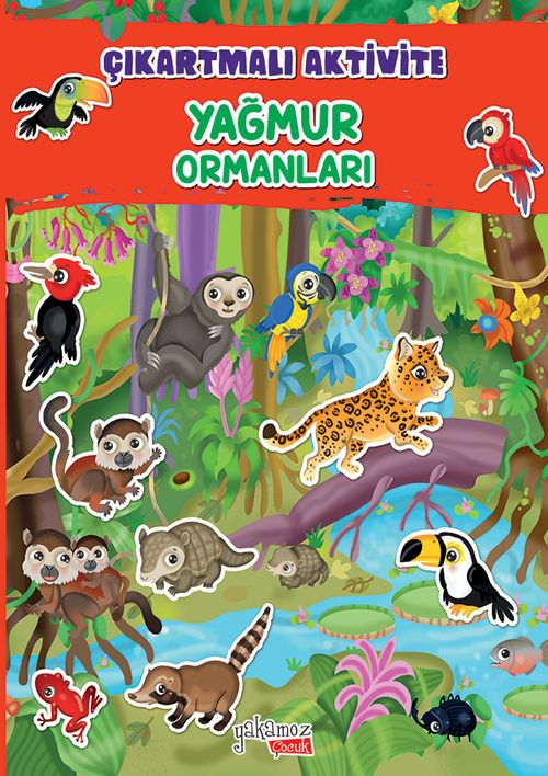 Yağmur Ormanları / Çıkartmalı Aktivite