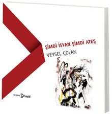 Şimdi İsyan Şimdi Ateş - Veysel Çolak