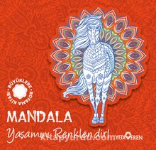 Mandala / Yaşamını Renklendir! - Bilinmeyen Yazar