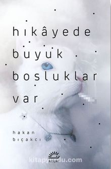 Hikayede Büyük Boşluklar Var - Hakan Bıçakcı