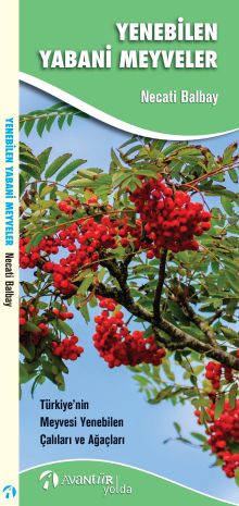 Yenebilen Yabani Meyveler & Türkiye'nin Meyvesi Yenebilen Çalıları ve Ağaçları