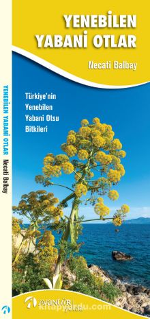 Yenebilen Yabani Otlar & Türkiye’nin Yenebilen Yabani Otsu Bitkileri - Necati Balbay