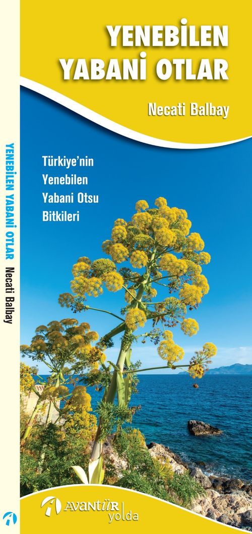 Yenebilen Yabani Otlar & Türkiye'nin Yenebilen Yabani Otsu Bitkileri
