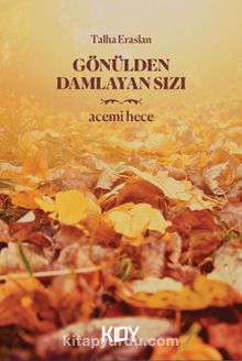 Gönülden Damlayan Sızı - Talha Eraslan