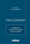 Toplu İş Hukuku
