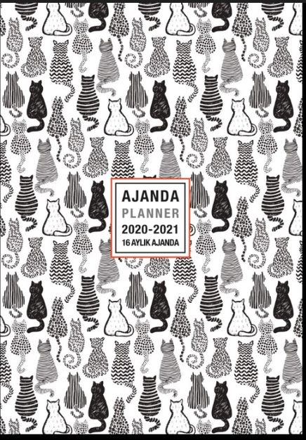 2020-2021 16 Aylık Ajanda Black Cats