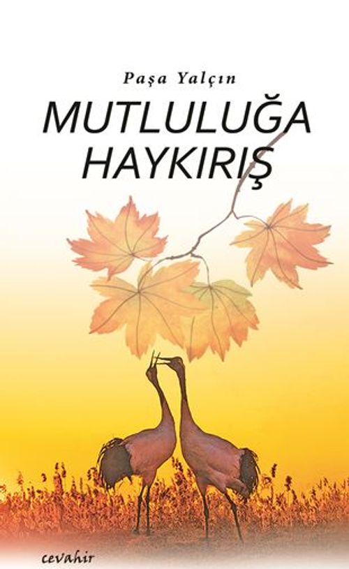 Mutluluğa Haykırış