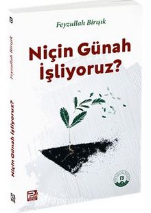 Niçin Günah İşliyoruz - Feyzullah Birışık