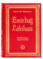 Emirdağ Lahikası (14x20)