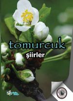 Tomurcuk 