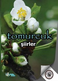 Tomurcuk 