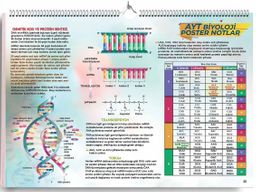 AYT Biyoloji Poster Notlar