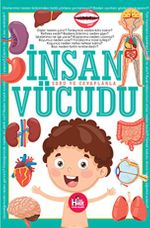 İnsan Vücudu