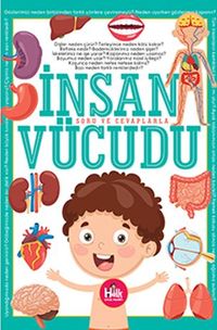 İnsan Vücudu