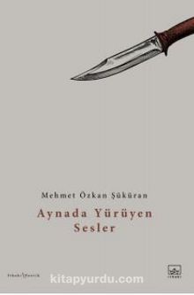 Aynada Yürüyen Sesler - Mehmet Özkan Şüküran