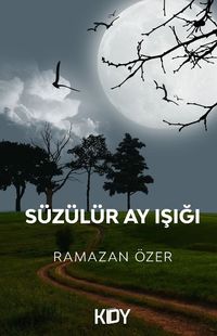 Süzülür Ay Işığı