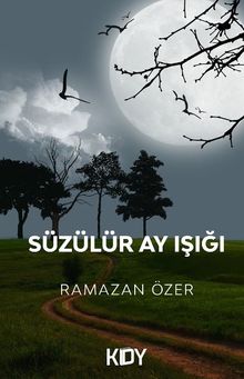 Süzülür Ay Işığı