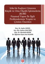 Söke'de Faaliyet Gösteren Küçük ve Orta Ölçekli işletmelerin (KOBİ) Finansal Yapısı ile İlgili Problemlerinin Tespiti ve Çözüm Önerileri