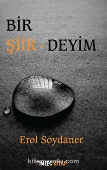 Bir Şiirdeyim - Erol Soydaner