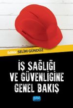 İş Sağlığı ve Güvenliğine Genel Bakış