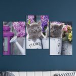 Full Frame 3 Parçalı Ahşap Poster - Basamaklı Yerleşim - Sulama Kovasında Kedicikler(FF-BY008)