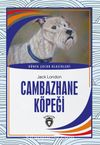 Cambazhane Köpeği