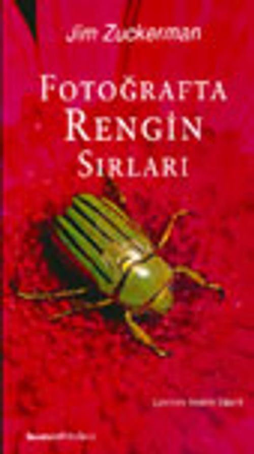 Fotoğrafta Rengin Sırları