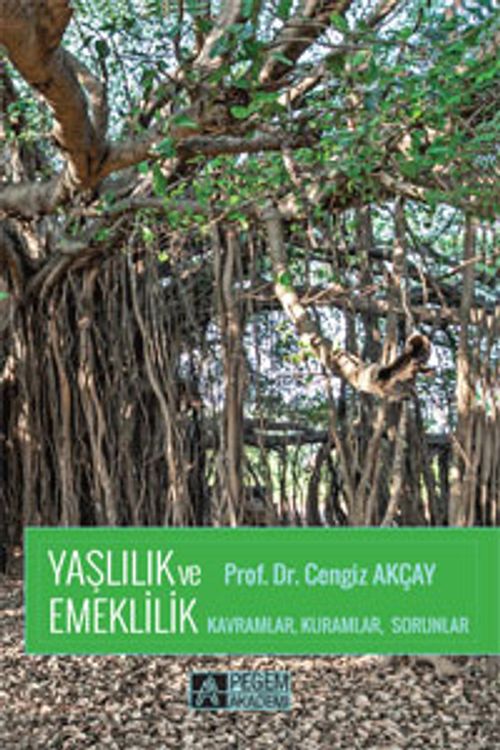 Yaşlılık ve Emeklilik & Kavramlar, Kuramlar, Sorunlar