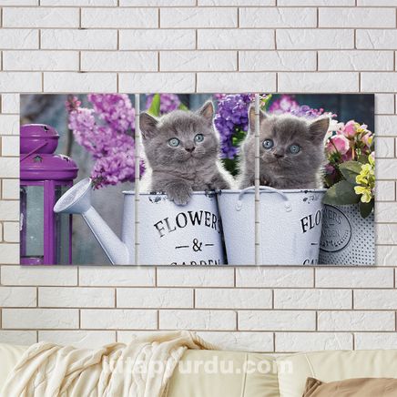 Full Frame 3 Parçalı Ahşap Poster - Hizalı Yerleşim - Sulama Kovasında Kedicikler (FF-HY007)