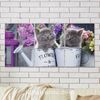 Full Frame 3 Parçalı Ahşap Poster - Hizalı Yerleşim - Sulama Kovasında Kedicikler (FF-HY007)