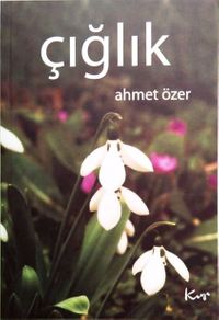 Çığlık