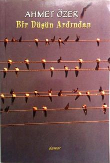 Bir Düşün Ardından