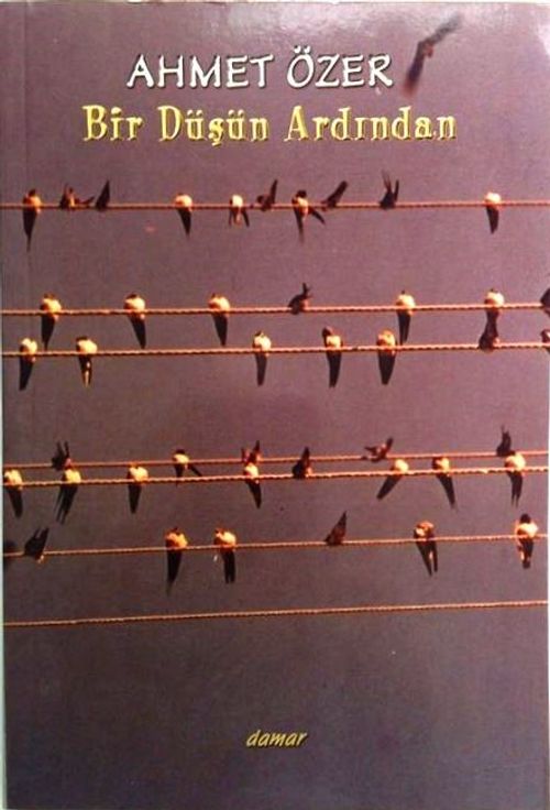 Bir Düşün Ardından