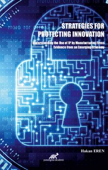 Strategies For Protecting Innovation