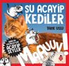 Daha da K&uuml;&ccedil;&uuml;kler İ&ccedil;in Şu Acayip Kediler