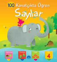 Sayılar / 100 Kanatçıkta Öğren