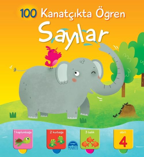 Sayılar / 100 Kanatçıkta Öğren