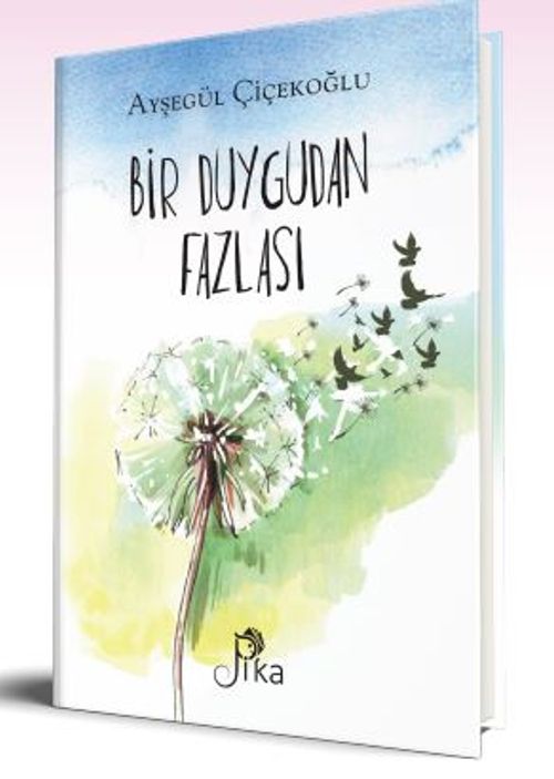 Bir Duygudan Fazlası
