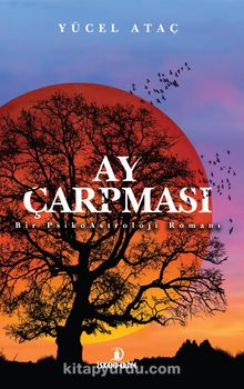 Ay Çarpması - Yücel Ataç