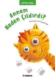 Annem Neden Çıldırdı?