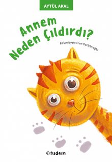 Annem Neden Çıldırdı? - Aytül Akal