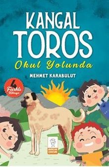 Kangal Toros & Okul Yolunda