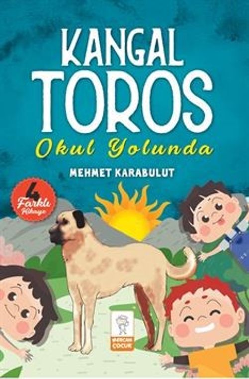 Kangal Toros & Okul Yolunda