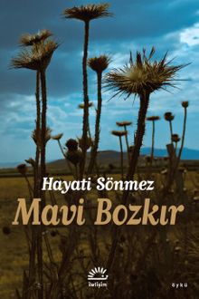 Mavi Bozkır