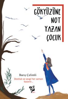 Gökyüzüne Not Yazan Çocuk - Barış Çelimli