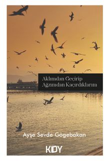 Aklımdan Geçirip Ağzımdan Kaçırdıklarım 